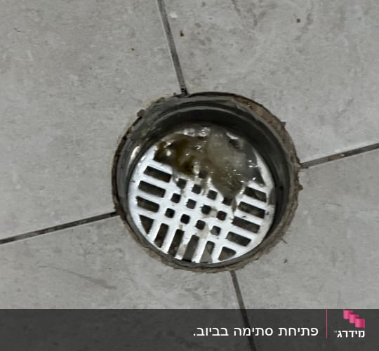 ניקוז רצפה עם לכלוך על ריצוף אפור